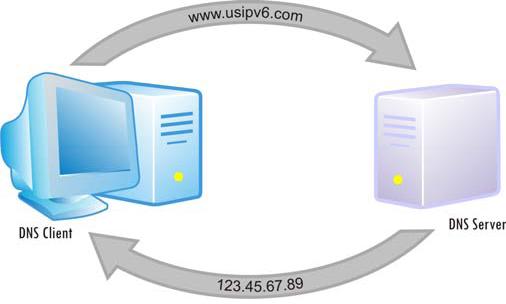 Dns.jpg